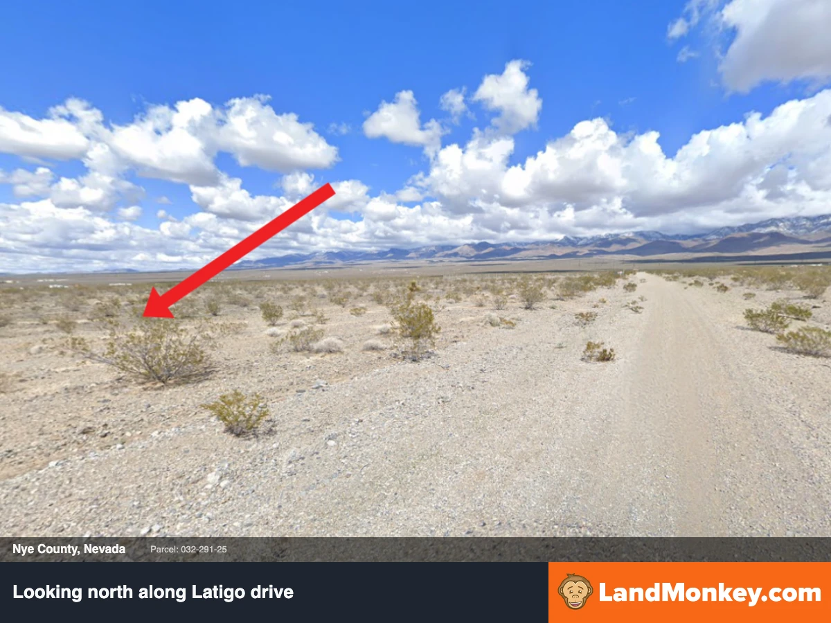 A Little More Elbow Room: 20K Square feet in Pahrump, Nevada thumbnail 2