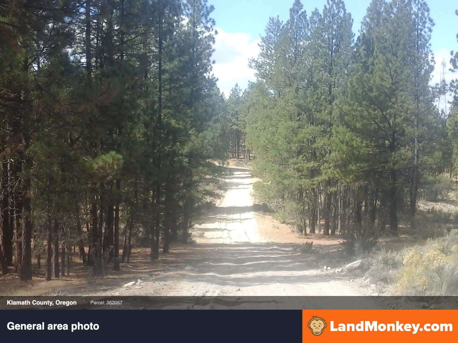 Rural Oregon Retreat: 1.47 acres in Beautiful Klamath County thumbnail 5