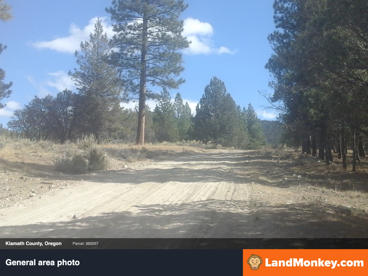 Rural Oregon Retreat: 1.47 acres in Beautiful Klamath County thumbnail 7